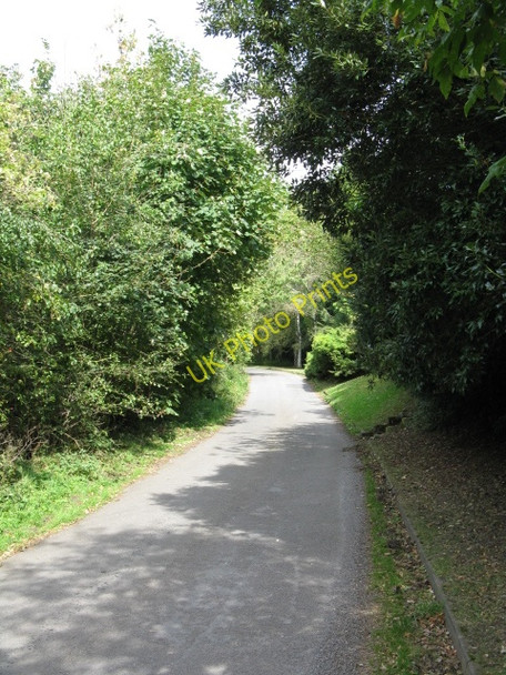 Photo 6"x4" Lane At Welcroft Farm Birch Berrow c2009