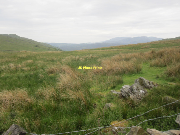 Photo 6"x4" Rough Pasture at Woundale, below Kirkstone Pass High Green\/NY4103 c2011