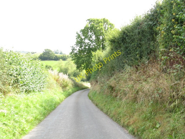 Photo 6"x4" Downhill From The Grange Birch Berrow c2009