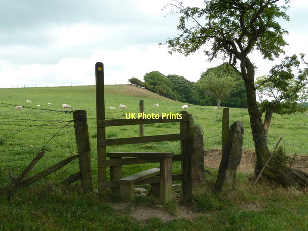 Photo 6"x4" Stile and field, Birley Oxton Rakes c2011