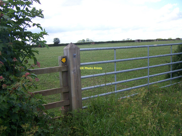 Photo 6"x4" Footpath Near Wymeswold Wymeswold c2011