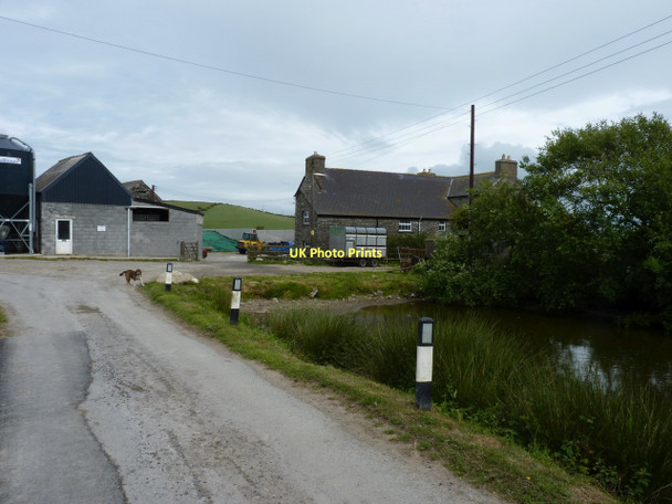 Photo 6"x4" Hafod Farm Y Ferwig c2011
