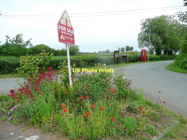Photo 6"x4" Planted-up road triangle Bridge End\/SO8031 c2011