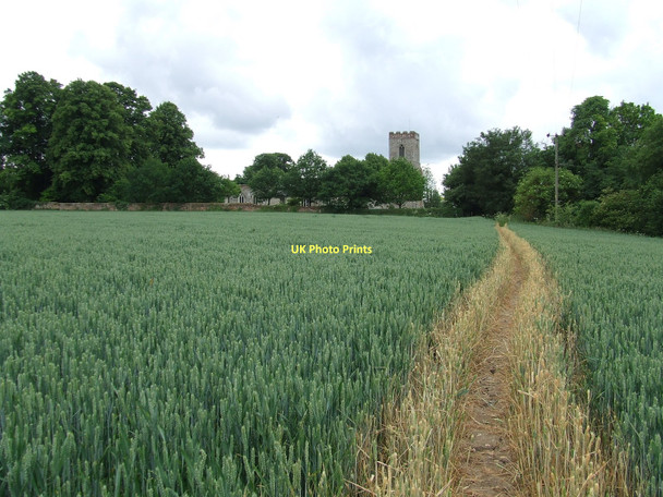 Photo 6"x4" Footpath To St Peter and St Paul Kedington c2011