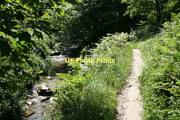 Photo 6"x4" Tintagel: in Rocky Valley Trethevy\/SX0789 c2011