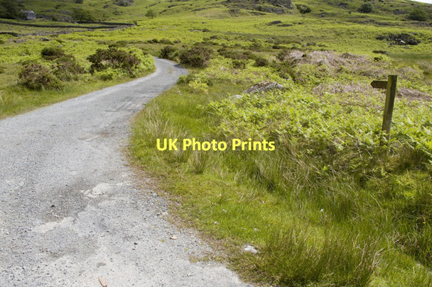 Photo 6"x4" Track to Birks Ulpha\/SD1993 c2011