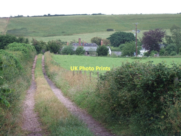 Photo 6"x4" Track to Court Barton from Jericho Street Thorverton c2011