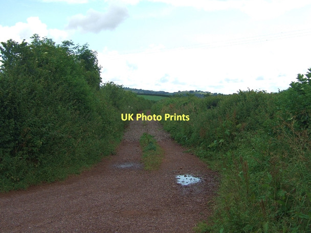 Photo 6"x4" Courthayes Lane Thorverton c2011