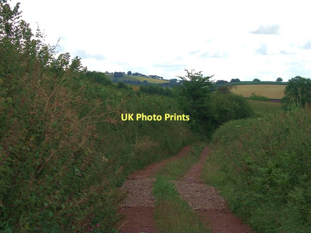 Photo 6"x4" Courthayes Lane looking east Thorverton c2011