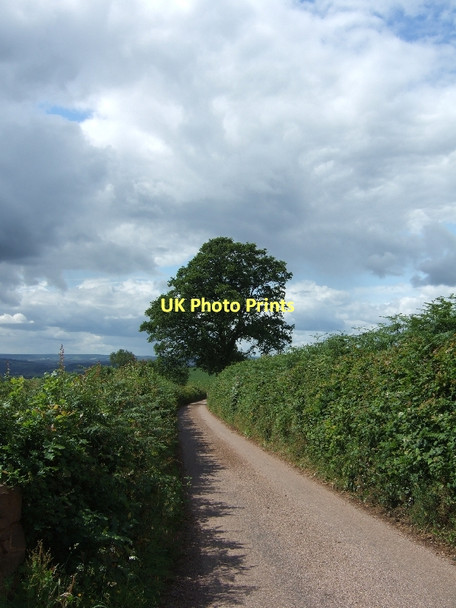 Photo 6"x4" Northdown Road looking south Cadbury\/SS9104 c2011