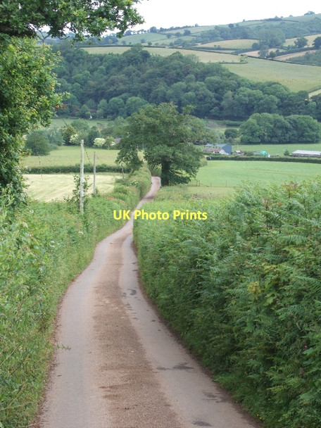 Photo 6"x4" Stone Lane Chitterley c2011