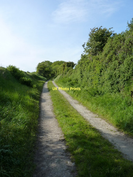 Photo 6"x4" Byway near Tre-cefn-isaf Farm Penparc\/SN2148 c2011
