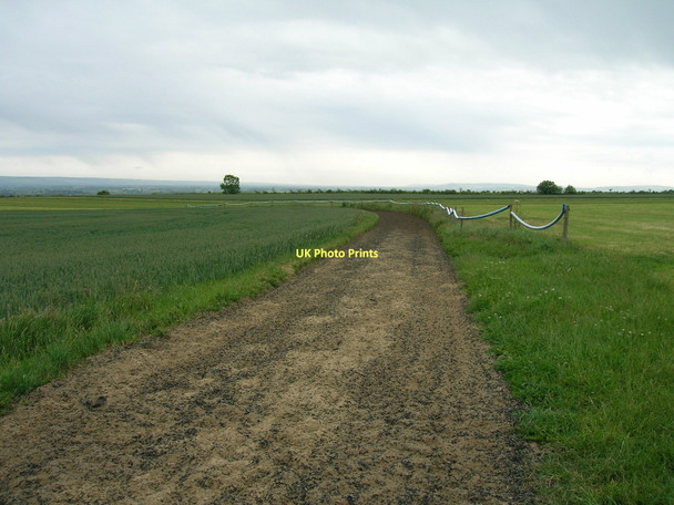 Photo 6"x4" Horse gallops Appleton-le-Street c2011