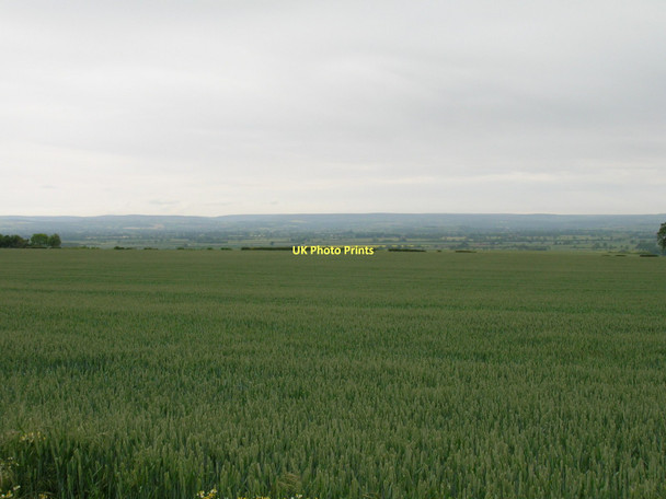 Photo 6"x4" Farmland south of Appleton-le-Street Appleton-le-Street c2011