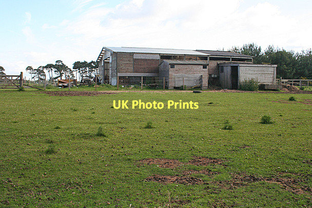 Photo 6"x4" Wooden Shed near Lochloy Kingsteps c2011