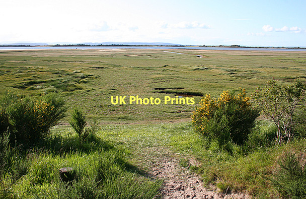 Photo 6"x4" Looking Across the Salt Marsh Kingsteps c2011