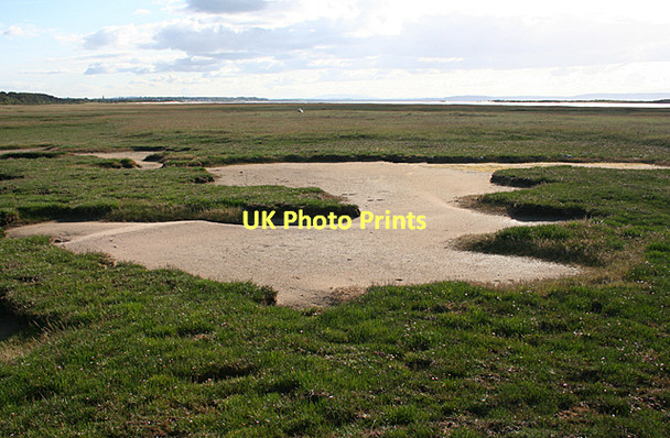 Photo 6"x4" Culbin Salt Marsh Kingsteps c2011