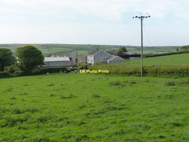 Photo 6"x4" Canllefaes-uchaf Farm Penparc\/SN2148 c2011