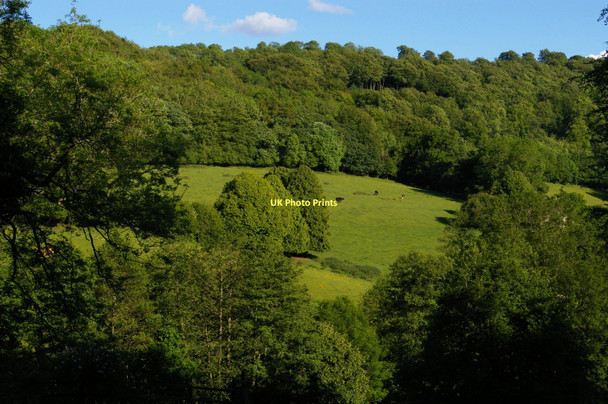 Photo 6"x4" Sheepscombe: view across the valley at the top end of the village Sheepscombe c2011
