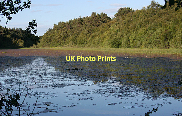 Photo 6"x4" Loch Loy Kingsteps c2011