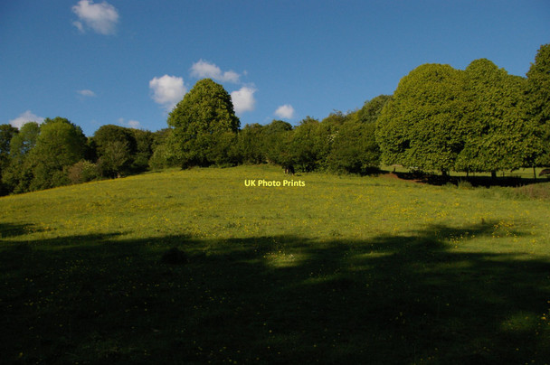 Photo 6"x4" Sheepscombe: valley side Sheepscombe c2011