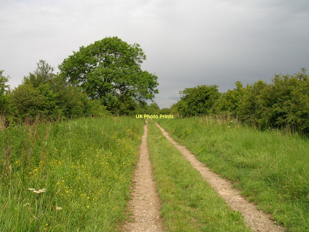 Photo 6"x4" Moor Lane (track) Brawby c2011