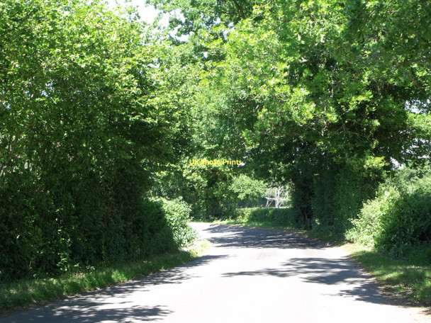 Photo 6"x4" Minor road north of Windmill Hill, East Sussex Windmill Hill\/TQ6412 c2011