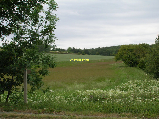 Photo 6"x4" Footpath off the A170 Kirkby Mills c2011