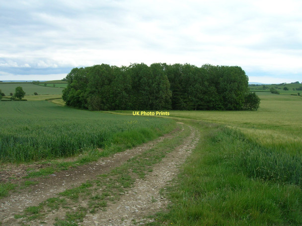 Photo 6"x4" Farm track (bridleway) Great Edstone Great Edstone c2011