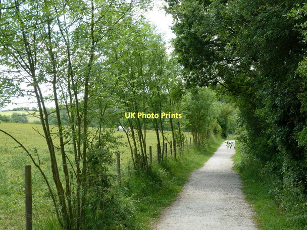 Photo 6"x4" Five Pits Trail towards Locko Lane Hardstoft Common c2011