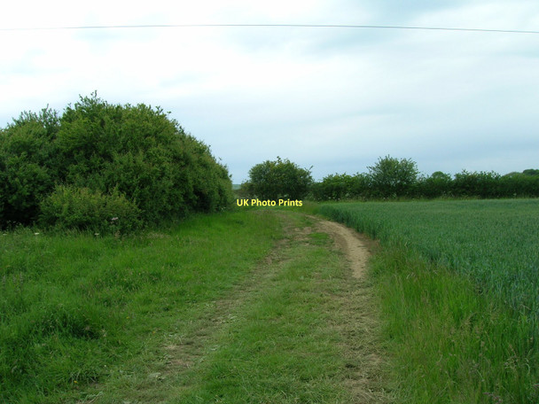 Photo 6"x4" Salton Lane (bridleway) West Ness\/SE6979 c2011