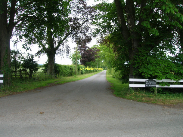 Photo 6"x4" Track to Beech Tree House South Holme\/SE6977 c2011