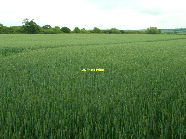 Photo 6"x4" Farmland north of Slingsby Slingsby c2011