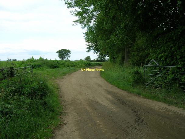 Photo 6"x4" Totten Lane (track) Slingsby c2011