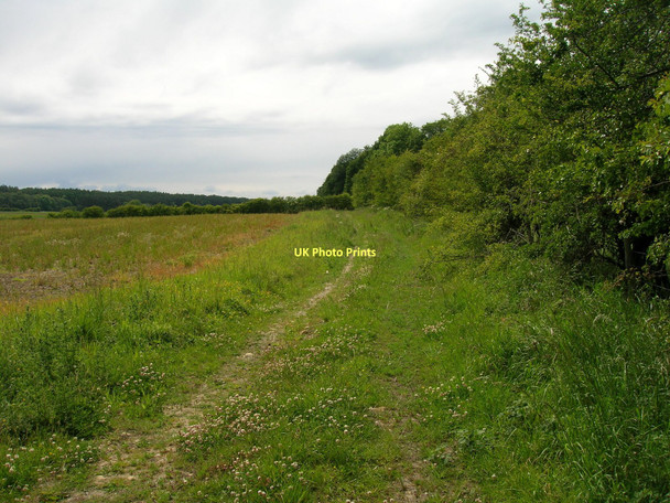 Photo 6"x4" Farm track towards Slingsby Bank Wood Coneysthorpe c2011