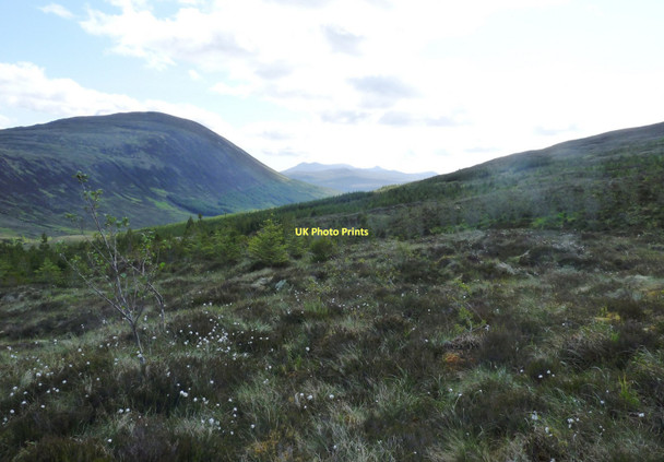 Photo 6"x4" New woodland in Coire Crubaidh Coille Bh\u00e0n c2011