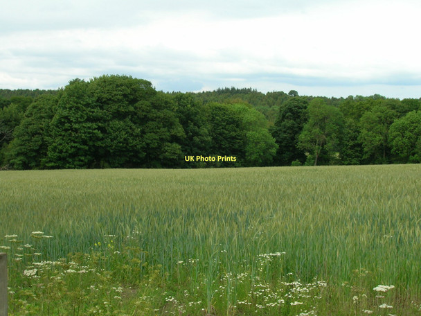 Photo 6"x4" Farmland off Appleton Lane Coneysthorpe c2011