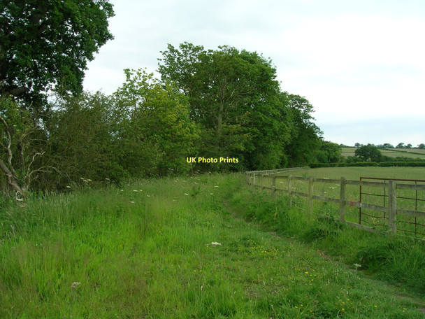 Photo 6"x4" Thackadale Lane (track) heading south High Hutton c2011