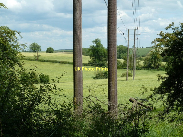 Photo 6"x4" Fields and line of power poles Fackley c2011