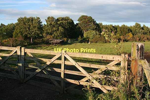 Photo 6"x4" Field Gate Auldearn c2011