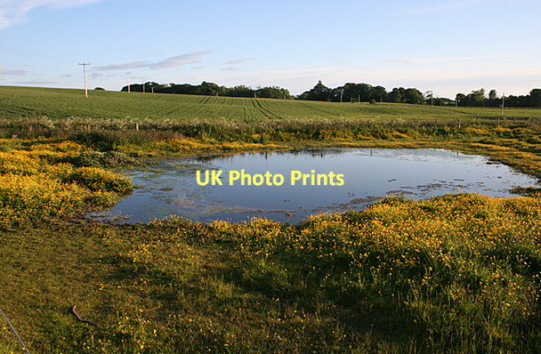 Photo 6"x4" Duck Pond at Bogside of Boath Auldearn c2011