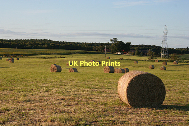 Photo 6"x4" Last Year's Bales? Auldearn c2011 P1