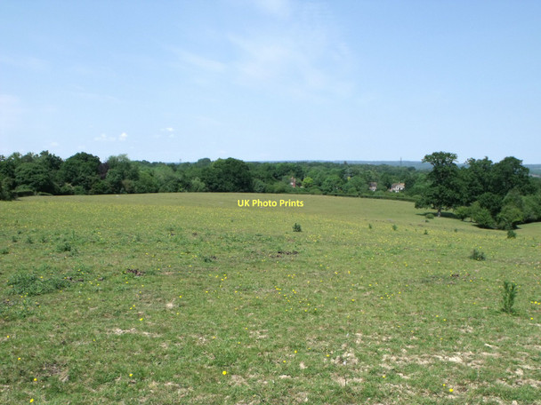 Photo 6"x4" Pasture west of Newick Newick c2011