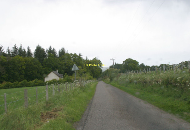 Photo 6"x4" Road beside Bogallan Wood Bogallan c2011