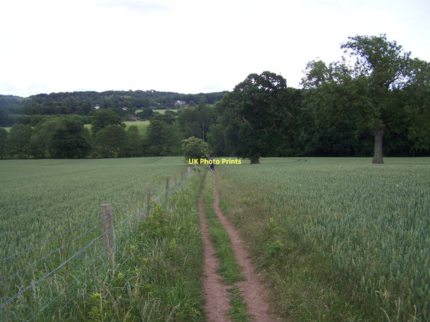 Photo 6"x4" Footpath To Brocton Brocton\/SJ9619 c2011