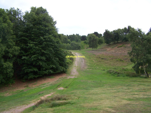 Photo 6"x4" Footpath On Milford Common Brocton\/SJ9619 c2011