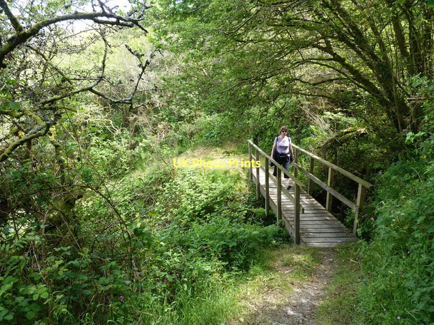 Photo 6"x4" Footbridge on the Coastal Path Parcllyn c2011
