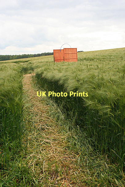 Photo 6"x4" Butt among the Barley Old Philpstoun c2011