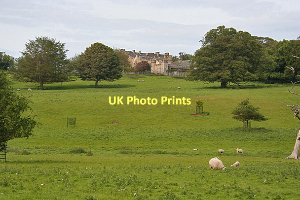 Photo 6"x4" House of the Binns Mannerston c2011