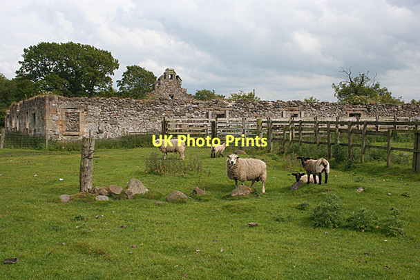 Photo 6"x4" Ruin at the Binns Mannerston c2011